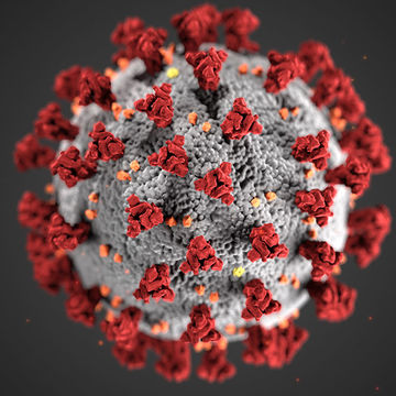 CDC image of the SARS-CoV-2 virus, aka the "spiky ball"